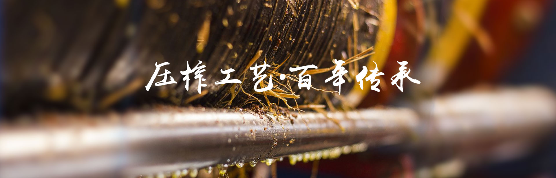 南宫娱乐NG28_油茶种植出产加工销售|植物油种植出产加工销售 南宫娱乐NG28_油茶种植出产加工销售|植物油种植出产加工销售